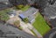 82 Kivell Close, Mangere East, Manukau City, Auckland - Carousel 2