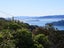 17A Marewa Road, Hataitai, Wellington - Carousel 5