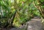 323 Glenfield Road, Glenfield, Auckland - Carousel 16