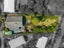 10 Quebec Road, Washington Valley, Nelson - Carousel 23
