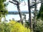 0 Attwood Road, Ruatangata West, Kamo - Carousel 1