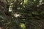 41 Te Ra Road, Kaeo, Kerikeri - Carousel 14