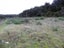53 Hydrabad Drive, Waitārere Beach, Levin - Carousel 4
