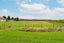 56 Lavenham Road, Patutahi, Gisborne - Carousel 7