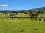 208 McQuoid Road, Preece Point, Coromandel - Carousel 17