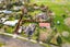 445 Somme Parade, Aramoho, Whanganui - Carousel 42