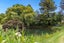 7144A State Highway 1, Pakaraka, Moerewa - Carousel 21