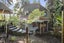 208 Woodlands Park Road, Titirangi, Auckland - Carousel 1