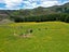 304B Pigeon Flat Road, Mount Cargill, Waitati - Carousel 8