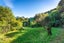 0 Miro Bay, North West Bay, TENNYSON INLET - Carousel 30