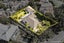 8 Fenton Circus, Orakei, Auckland - Carousel 5