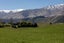 122 Morven Ferry Road, Arrow Junction, Queenstown - Carousel 4