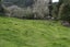 514 Waitekauri Road, Waikino, Waihi - Carousel 23