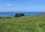 0 Akatore Rd, Taieri Beach, Taieri Mouth - Carousel 2