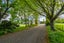 67 Chamberlain Road, Upper Plain - Carousel 1