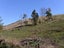 218 Hawkesbury Road, Hawkesbury, Blenheim - Carousel 20
