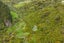 186 Harrison Hill Road, Palmerston North - Carousel 29