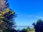 29 Taunton Terrace, Blockhouse Bay, Auckland - Carousel 5
