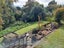 12A Burns Street, Westown, New Plymouth - Carousel 14