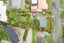 24 Glenview Terrace, Glenview, Hamilton - Carousel 12
