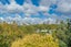 14/49 Collingwood Street, Freemans Bay, Auckland - Carousel 11