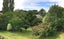 72 Robley Crescent, Glendowie, Auckland - Carousel 17