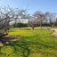341 Glenbrook Waiuku Road, GLENBROOK, WAIUKU - Carousel 20
