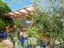 23 Second Street, Lansdowne, Masterton - Carousel 16