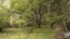 0 Bute Rd, Mangapakeha, Masterton - Carousel 14