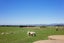 112 Nightcaps Opio Road, Opio, Otautau - Carousel 26