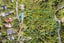 26 Avian Crescent, Blue Mountains, Upper Hutt - Carousel 21