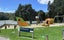 17A Rangatira Road, Birkdale, Auckland - Carousel 20