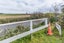 19A Ladys Mile, Foxton, Foxton - Carousel 11