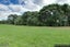 29 Meadowvale Avenue, Forrest Hill, Auckland - Carousel 17