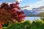 144D Arrowtown-Lake Hayes Road, Lake Hayes, Queenstown - Carousel 9