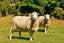 270 Chain Hills Road, Chain Hills, Dunedin - Carousel 38