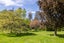 186A Te Whiti Road, Homebush, Masterton - Carousel 42
