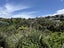37A Hendry Avenue, Hillsborough, Auckland - Carousel 24