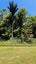 877 Tiki Quarry Road, Preece Point, Coromandel - Carousel 47
