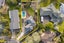 4 Mill End, Pahurehure, Papakura - Carousel 28