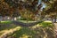 196 Oakwood Lane, Witherlea, Blenheim - Carousel 48