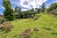 266 North Manakau Road, Manakau, Levin - Carousel 31