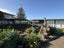 9 Susanne Place, Pakuranga, Auckland - Carousel 4