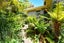 177 Evans Street, Opoho, Dunedin - Carousel 2