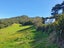 335 Lindemann Road, Tahawai, Katikati - Carousel 11