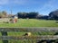 51 Goldings Line, Marton - Carousel 20