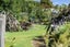 14D Crawford Road, Minden, Tauranga - Carousel 23