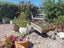 2/16 ALAN STYLES PL, GREENMEADOWS, NAPIER - Carousel 17