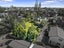 16 McInnes Road, Weymouth, Auckland - Carousel 2