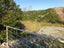 800 Bickerstaffe Road, Maungaturoto - Carousel 20